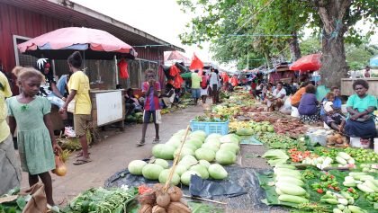 Gizo market relocation, renovation in the works item-thumbnail