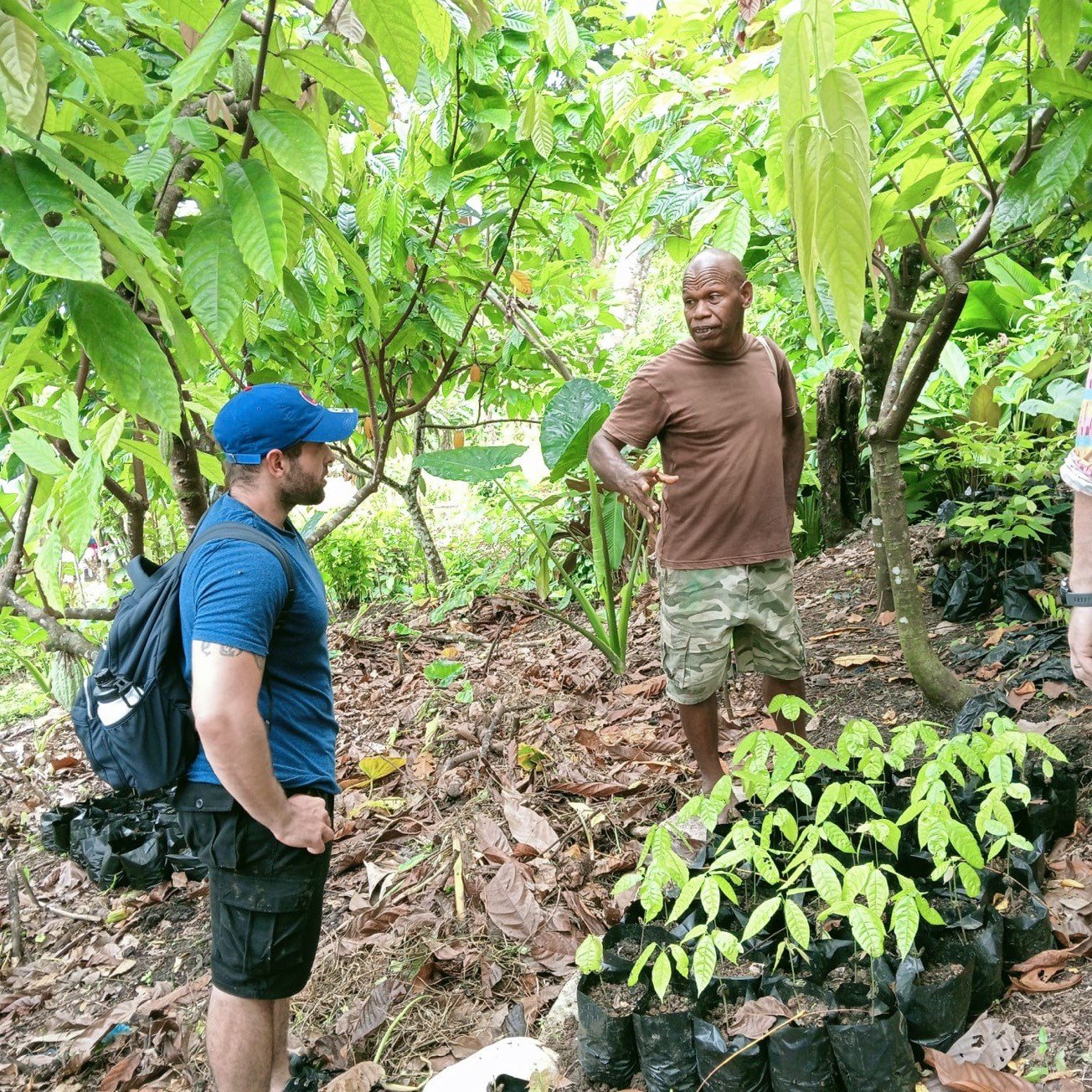UK cocoa buyers undertake successful trade mission to Solomon Islands UK cocoa buyers undertake successful trade mission to Solomon Islands