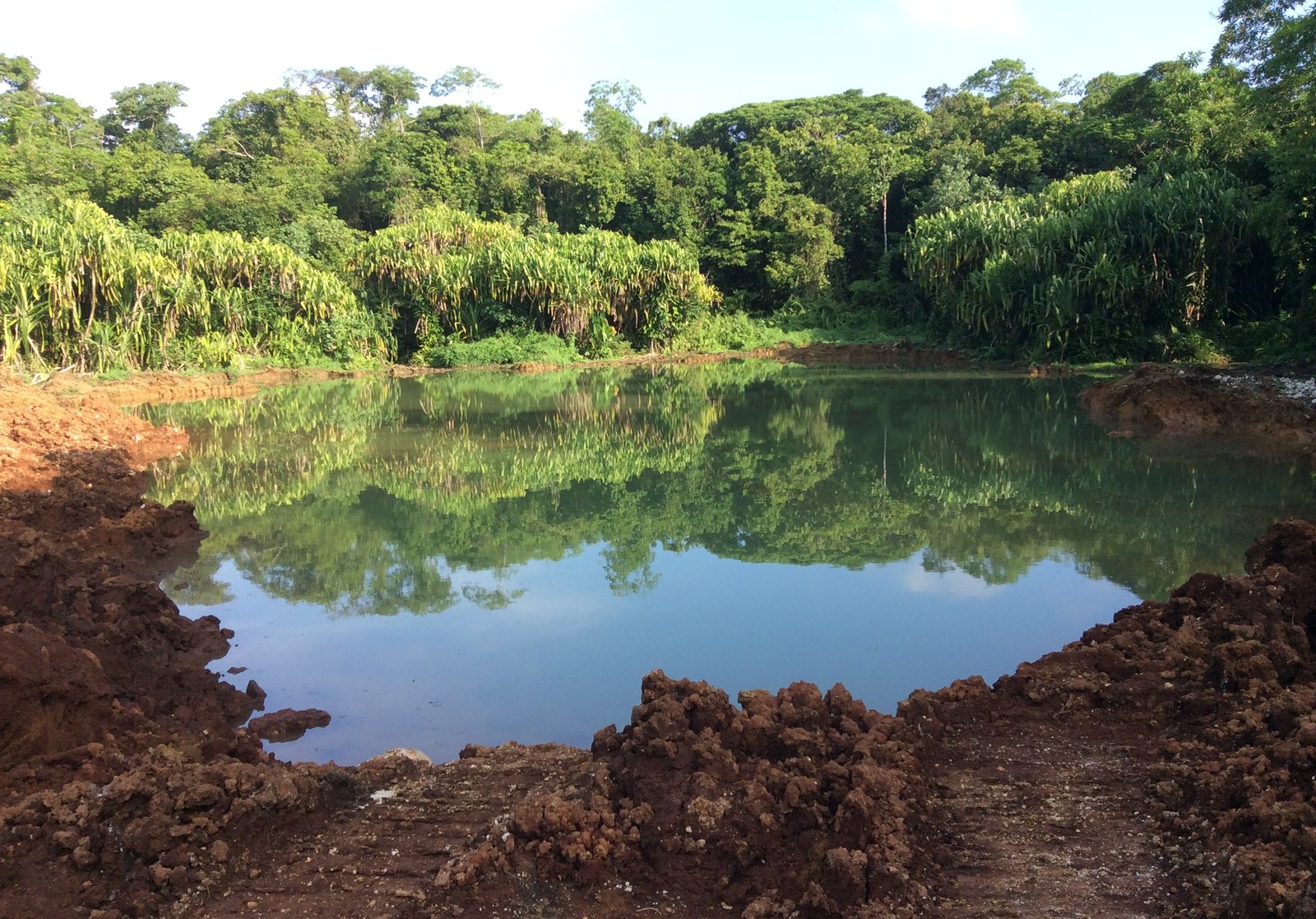 A water table near the Lake Tengano has been cleared by logging activity SIBC