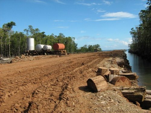 A logging facility in the Solomon Islands | SIBC
