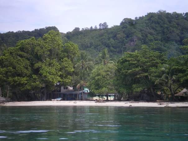 Ngella Islands plans to ban logging