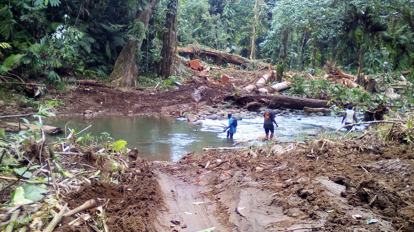 Current logging rate is still unsustainable Wale SIBC Voice of the
