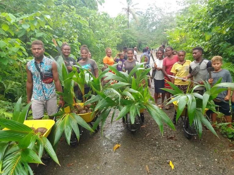 West Kwaio Constituency Rolls Out Coconut Rehabilitation Project