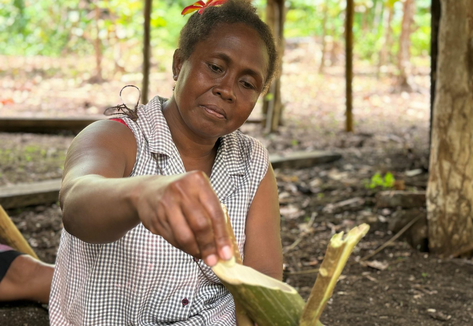 The Ofu and Bitaama Conservation of Biodiversity Project that Motivates North Malaita The Ofu and Bitaama Conservation of Biodiversity Project that Motivates North Malaita