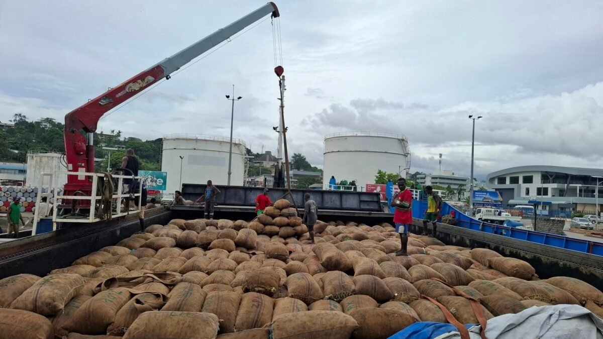 CEMA strengthens direct export pathways for copra and cocoa