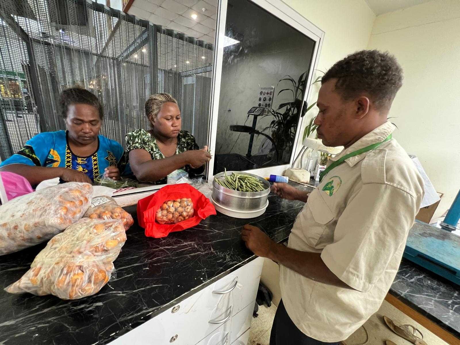 Biosecurity Solomon Islands Announces Changes to Phytosanitary Certificate Issuance at Honiara International Airport Biosecurity Solomon Islands Announces Changes to Phytosanitary Certificate Issuance at Honiara International Airport