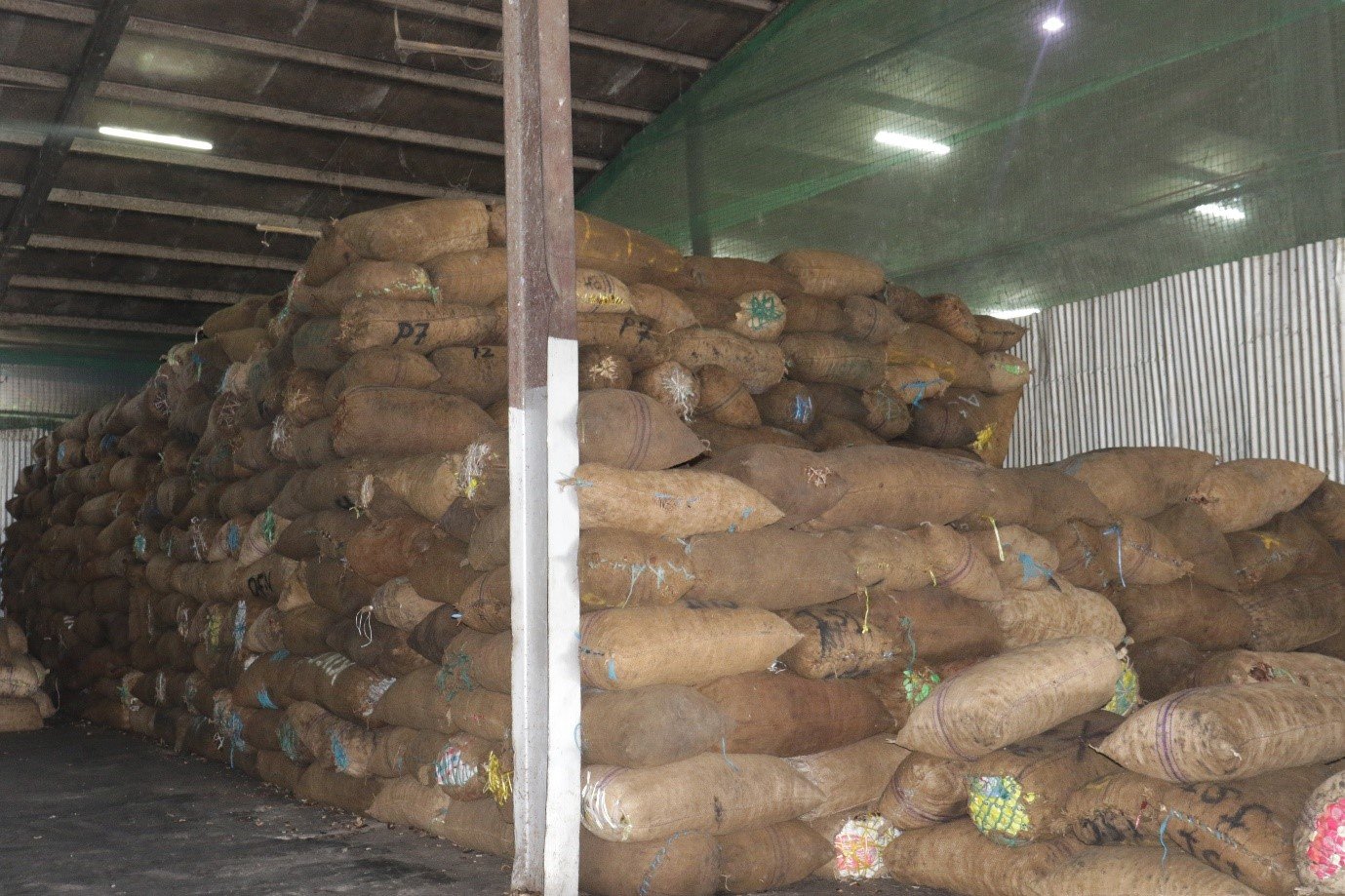 Minister Wasi says there is huge potential for coconut and cocoa Minister Wasi says there is huge potential for coconut and cocoa