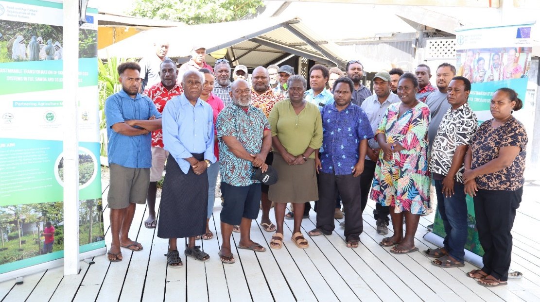 Urgent call for multidisciplinary action to transform Solomon Islands’ domestic agrifood systems Urgent call for multidisciplinary action to transform Solomon Islands’ domestic agrifood systems